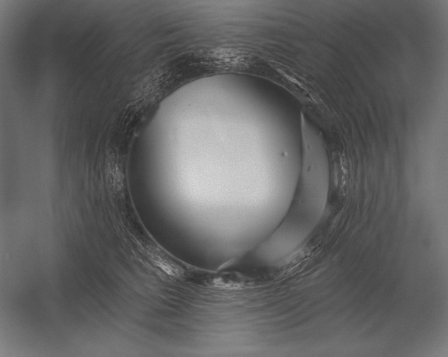 X0000053020613200507221341