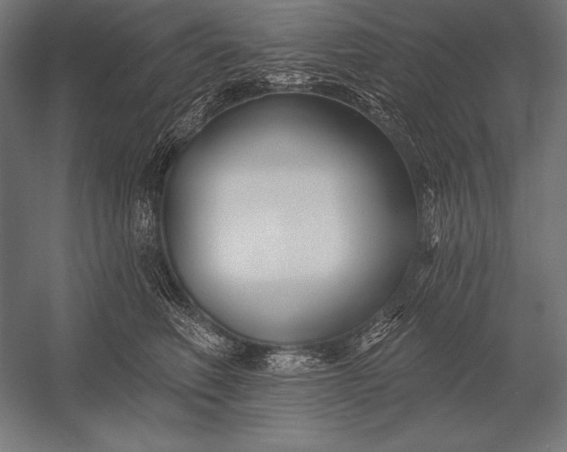 X0000053020614200507221341