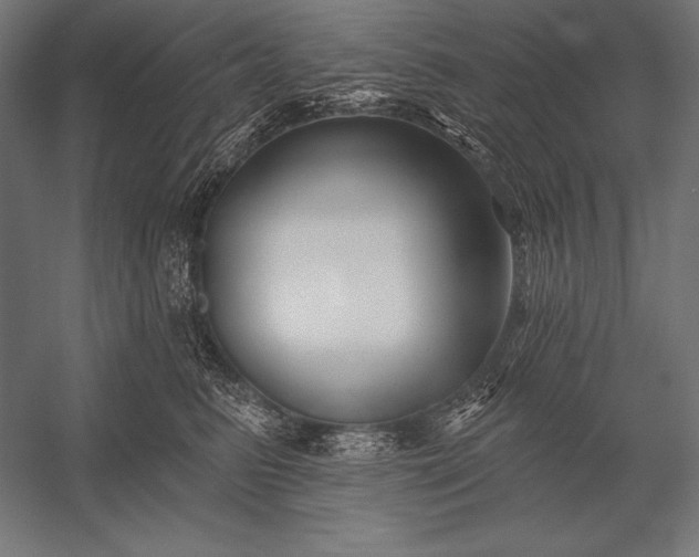 X0000053020615200507221341