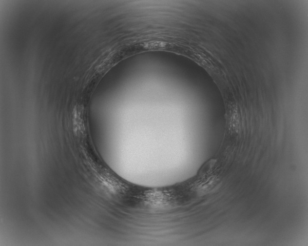 X0000053020616200507221341