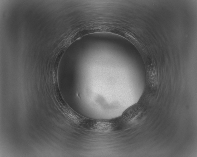 X0000053020617200507221341