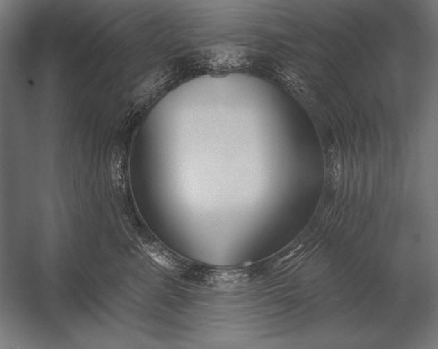 X0000053020619200507221341