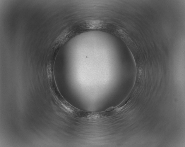 X0000053020620200507221341