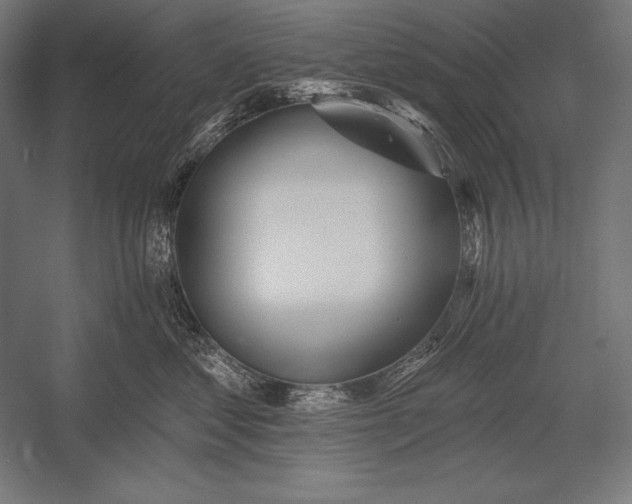 X0000053020621200507221341