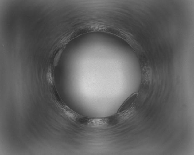 X0000053020622200507221341