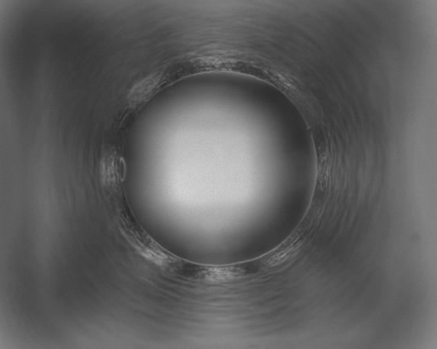 X0000053020623200507221341
