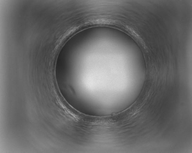 X0000053020625200507221340