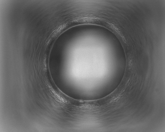 X0000053020633200507221340