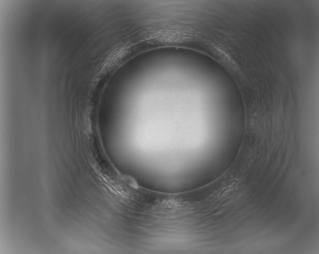 X0000053020635200507221340