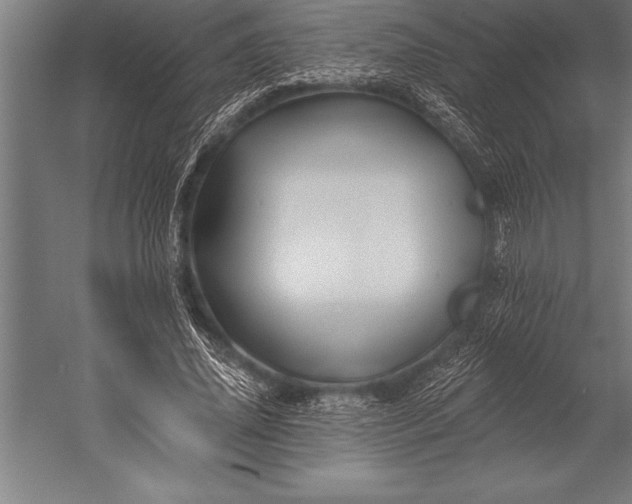 X0000053020636200507221340