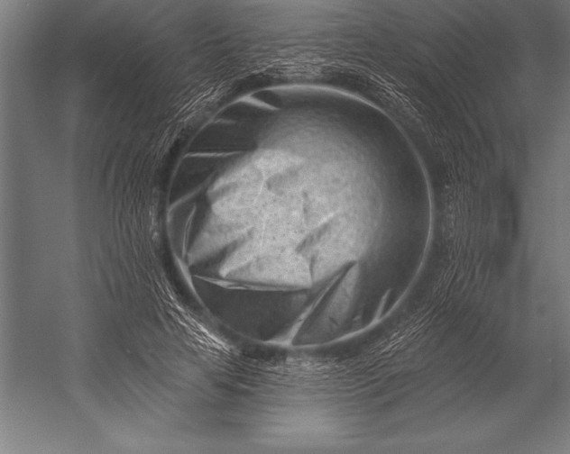 X0000053020641200507221340