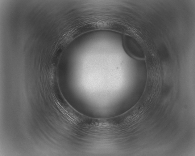 X0000053020645200507221341