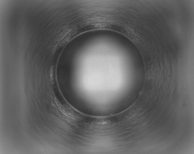 X0000053020646200507221341