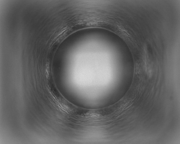 X0000053020648200507221341