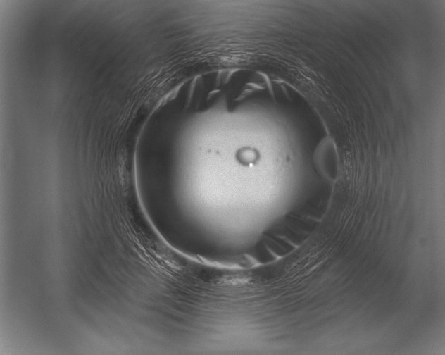 X0000053020651200507221341