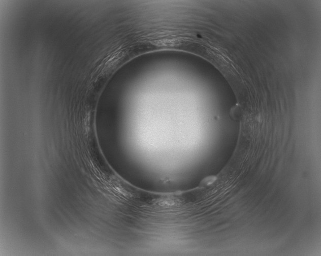 X0000053020652200507221341