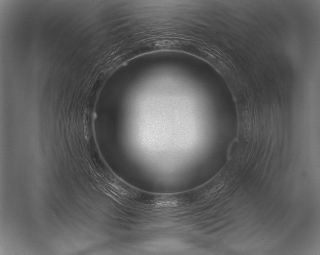 X0000053020653200507221341