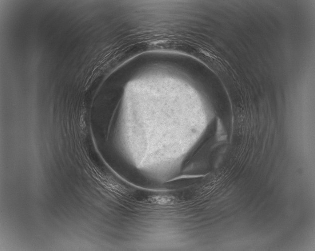 X0000053020654200507221341
