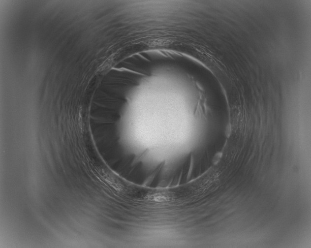 X0000053020655200507221341