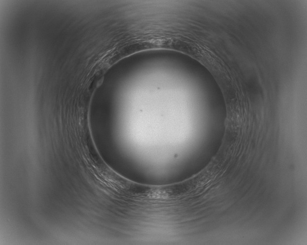 X0000053020656200507221341