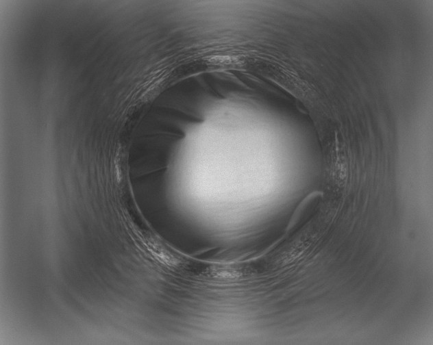 X0000053020658200507221341