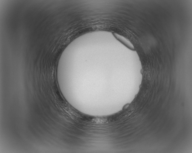 X0000053020660200507221341
