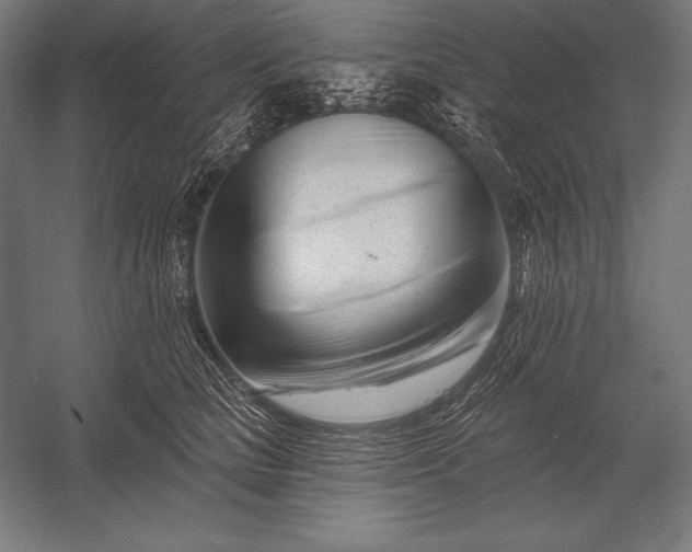 X0000053020661200507221341