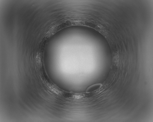X0000053020662200507221341