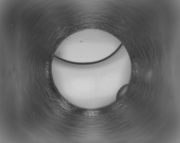 X0000053020664200507221341