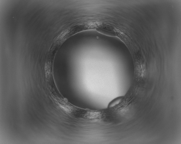 X0000053020665200507221341