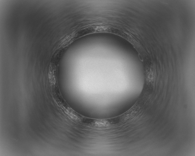 X0000053020666200507221341
