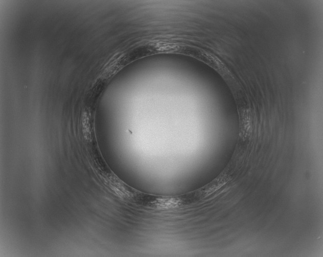 X0000053020667200507221341