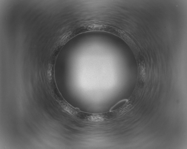X0000053020668200507221341