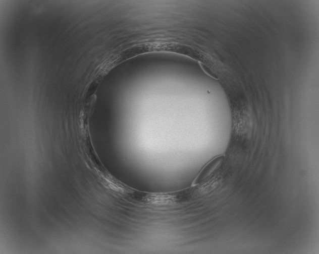 X0000053020670200507221341