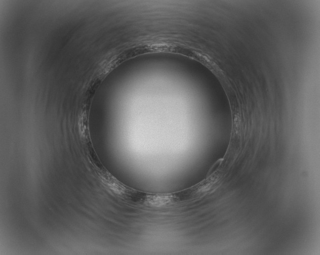 X0000053020671200507221341