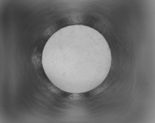 X0000053020672200507221341