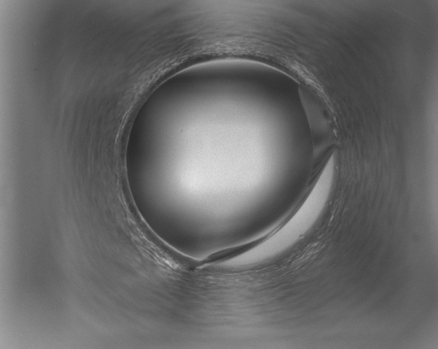 X0000053020673200507221340