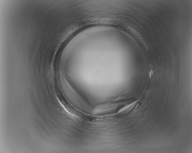 X0000053020674200507221340