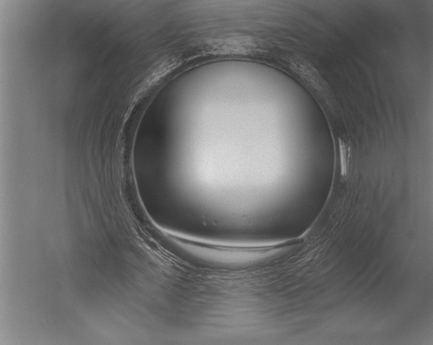 X0000053020675200507221340