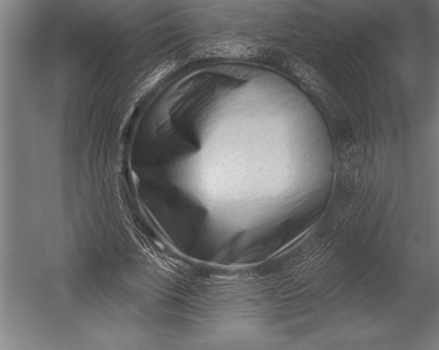 X0000053020679200507221340