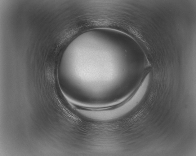 X0000053020681200507221340
