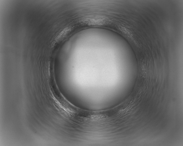 X0000053020686200507221340