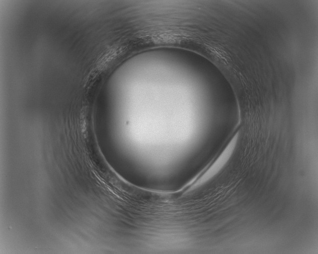 X0000053020687200507221340