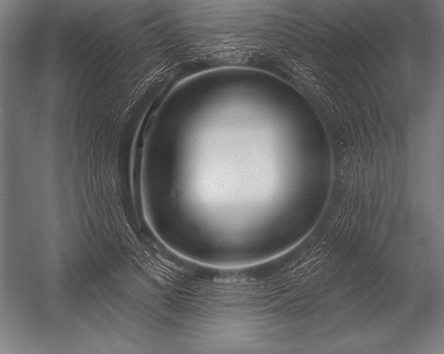 X0000053020693200507221340