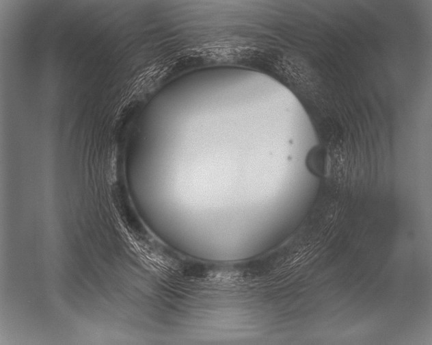 X0000053020694200507221340