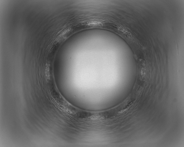 X0000053020696200507221340