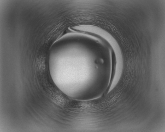 X0000053020697200507221340