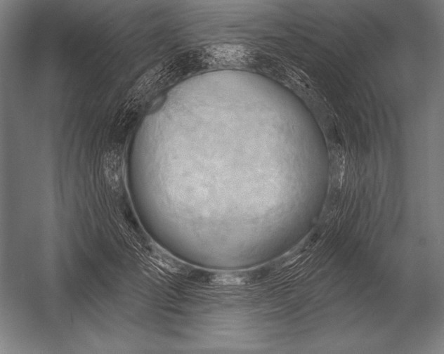 X0000053020701200507221340