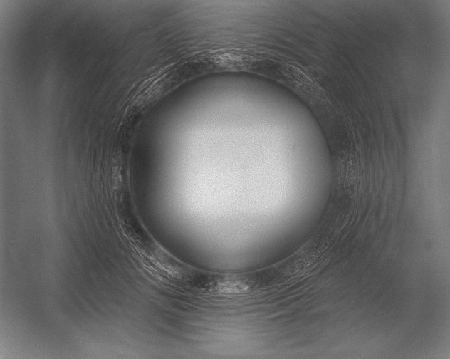 X0000053020702200507221340