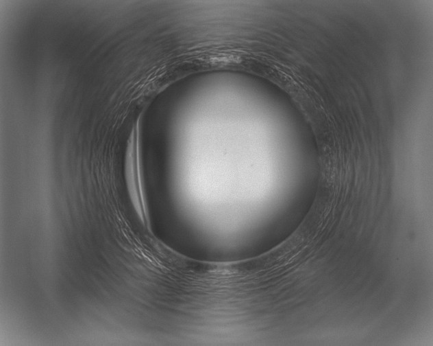 X0000053020704200507221340